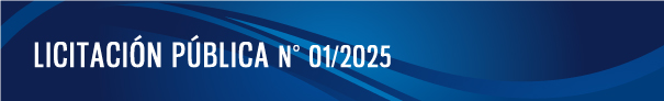 Licitación pública UNDAV
