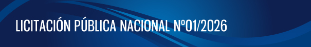 Licitación pública UNDAV